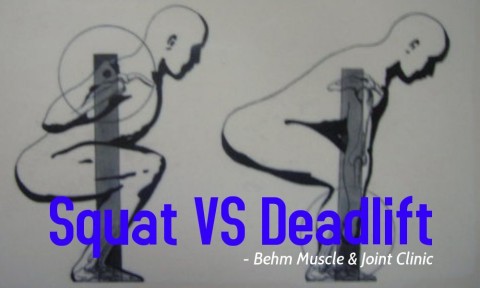 Squat VS Deadlift